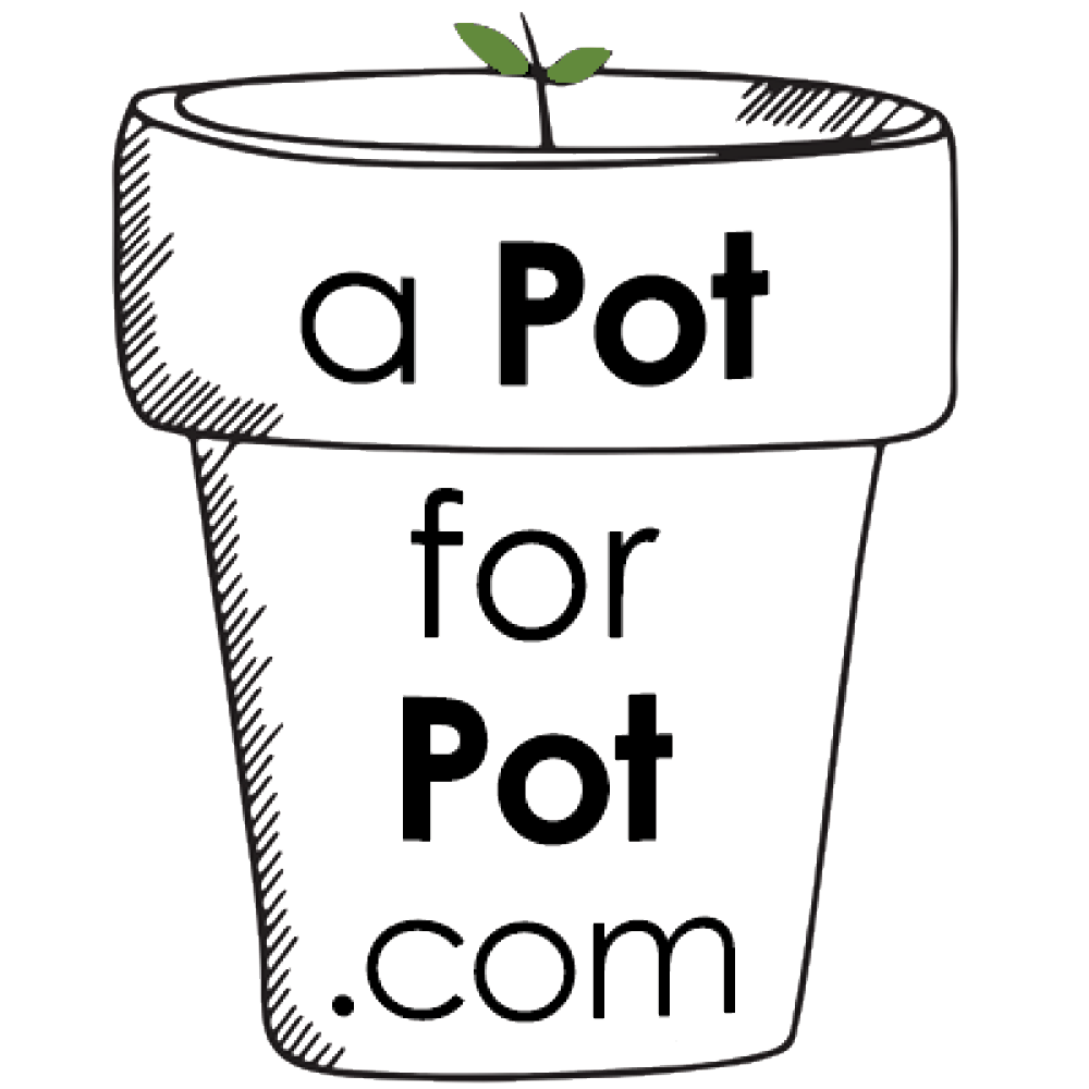 A Pot for Pot