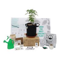 Small Complete Pot Grow Kit