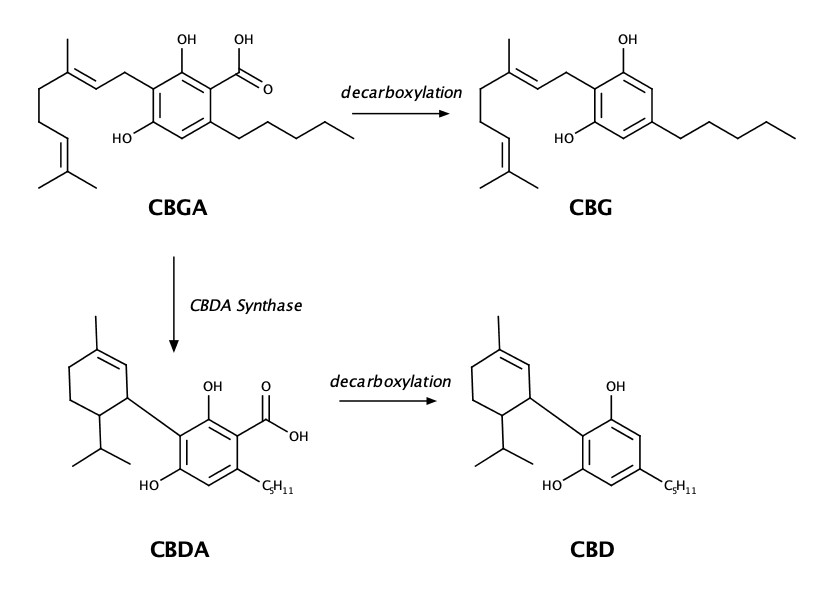 cbg chemistry diagram
